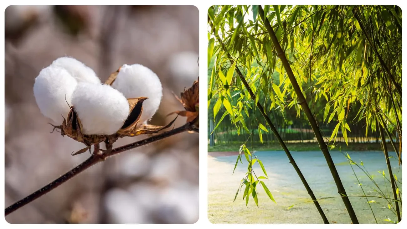 Bamboo vs Cotton Baby Clothing